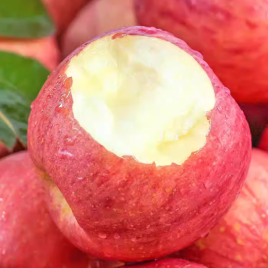 [50박스초특가] 청송사과농장 초고당도 햇사과 부사사과 22,150원