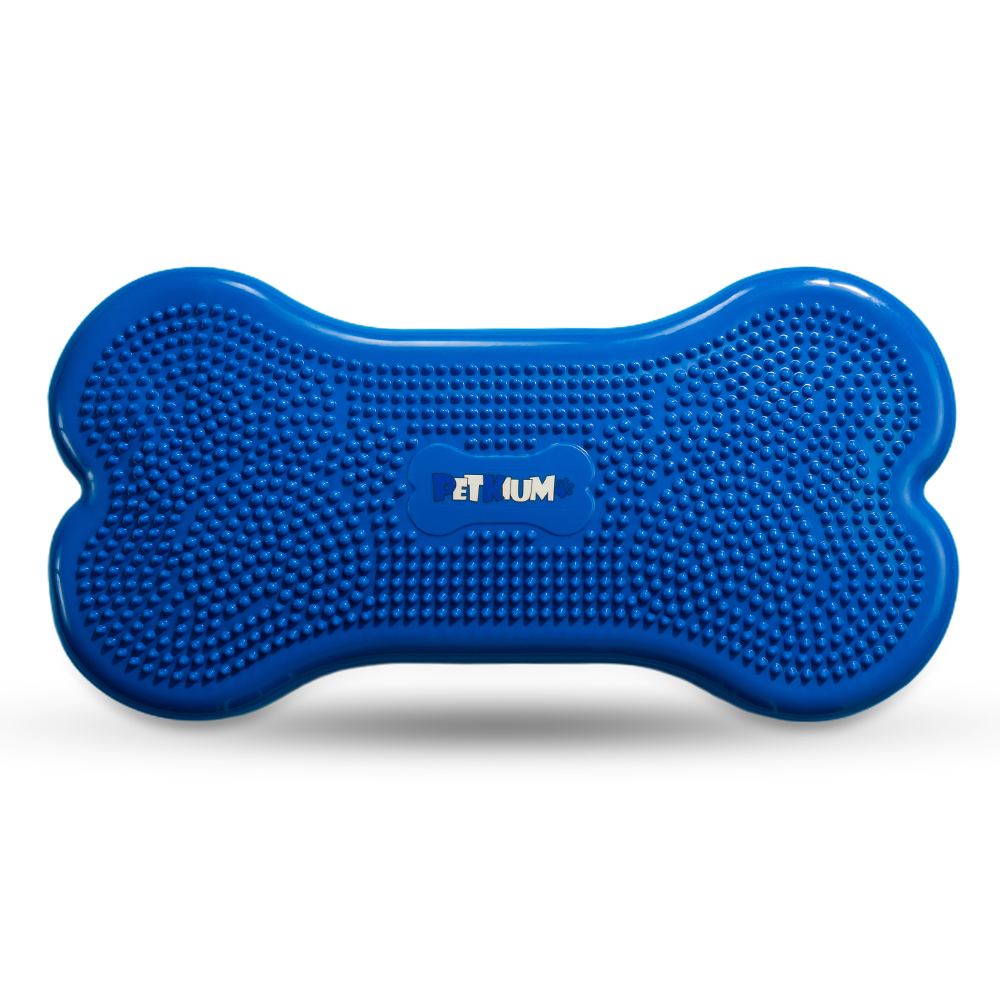 페키움 강아지 뼈다귀 짐볼 슬개골 탈구예방 관절 운동기구 입문용, 1개, 블루 69,000원