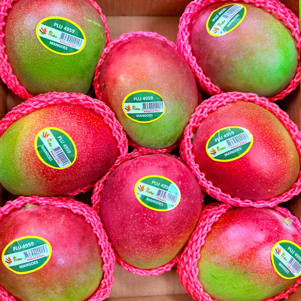 [특가할인]프리미엄 애플망고 선물세트, 1개, 애플망고 2kg 4-5과 26,980원