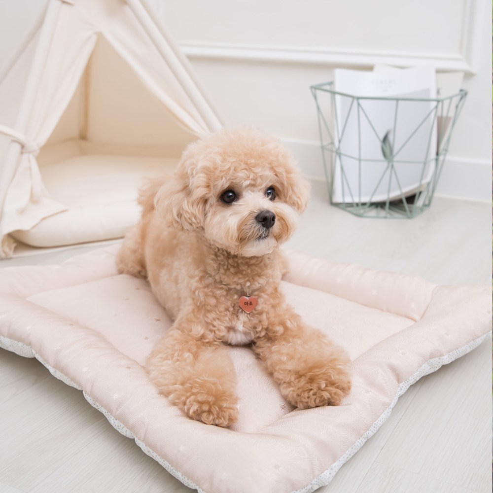 올마이펫 시원하고 도톰한 인견강아지 쿨방석매트 20,900원