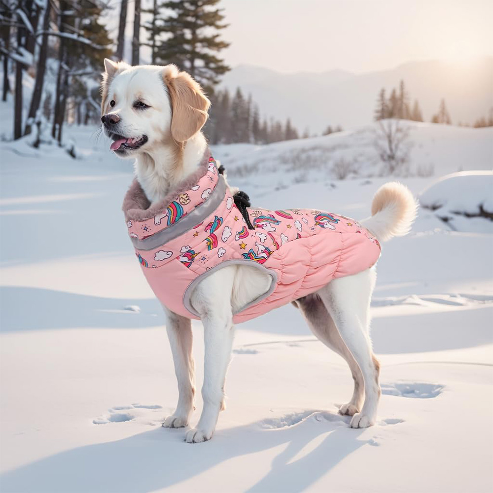 큐트본 소형견 지퍼 다운 자켓 29,000원