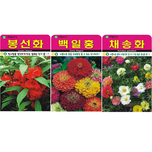 봉선화 + 채송화 + 백일홍 씨앗, 1개 8,500원
