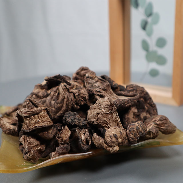 건능이버섯 중국산, 1개, A 급 200g 47,490원