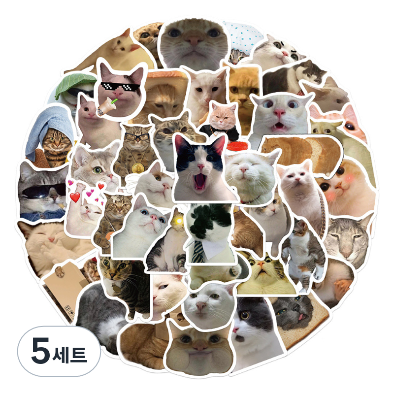 노트북 캐리어 여행 귀여운 고양이 스티커 세트, 미야오 월드, 5세트 11,800원