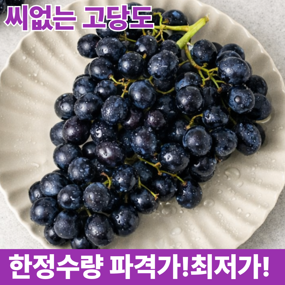 [고당도] 블랙세이블 포도 20Brix이상 씨없는 수입포도, 1박스, 2kg 23,900원