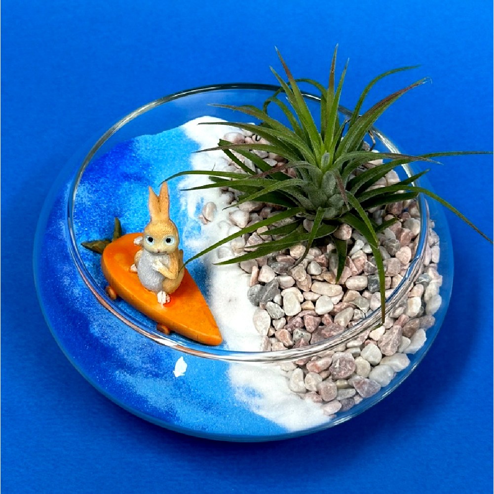 감동샵 색모래 테라리움 DIY 키트 서핑 토끼 피규어 틸란드시아 이오난사, 1개 9,900원