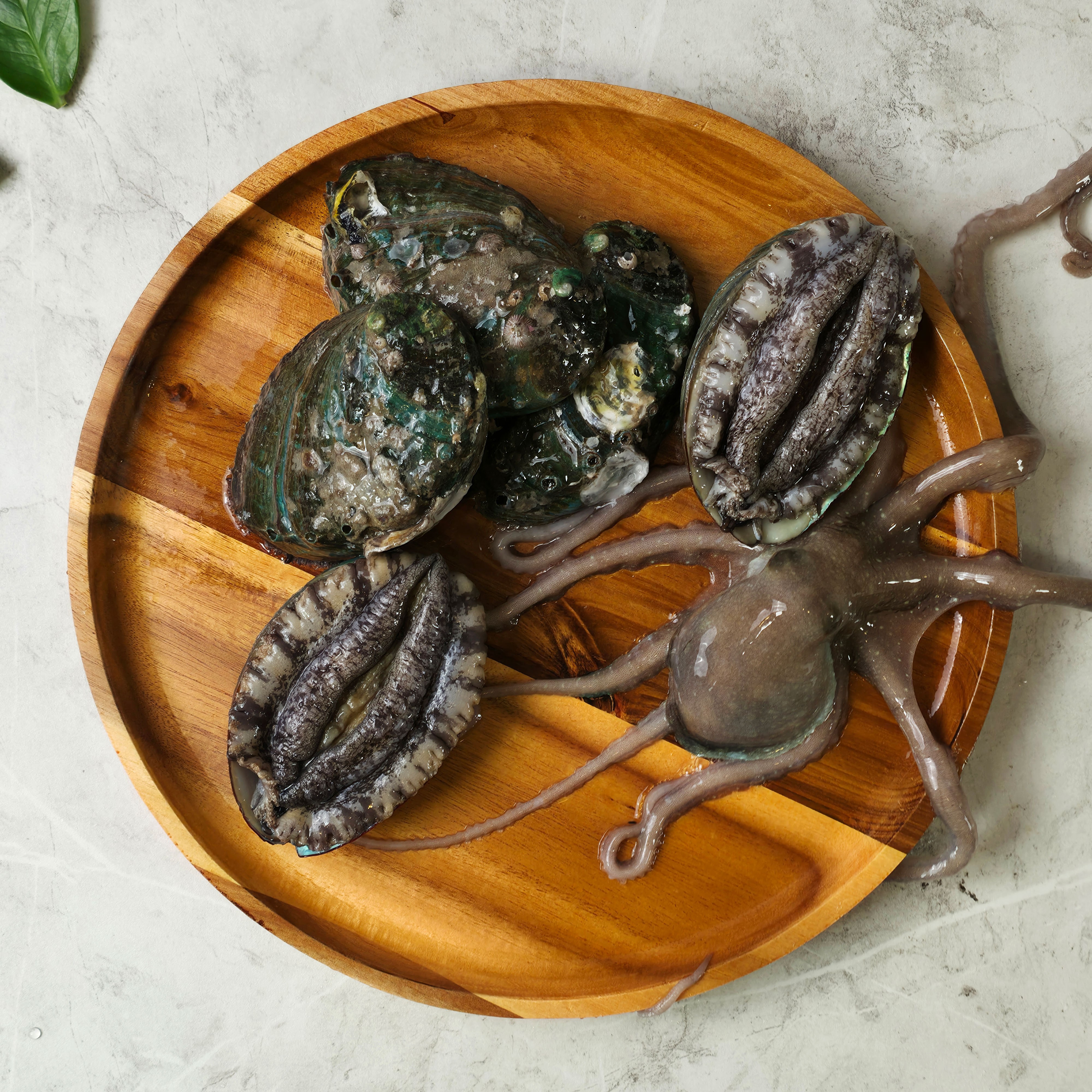 목포 낙지 전복 세트 중소낙지 20마리 + 왕특대전복(6-7미)1kg 무안 뻘낙지 신안 산낙지 선물 볶음 구이 236,990원