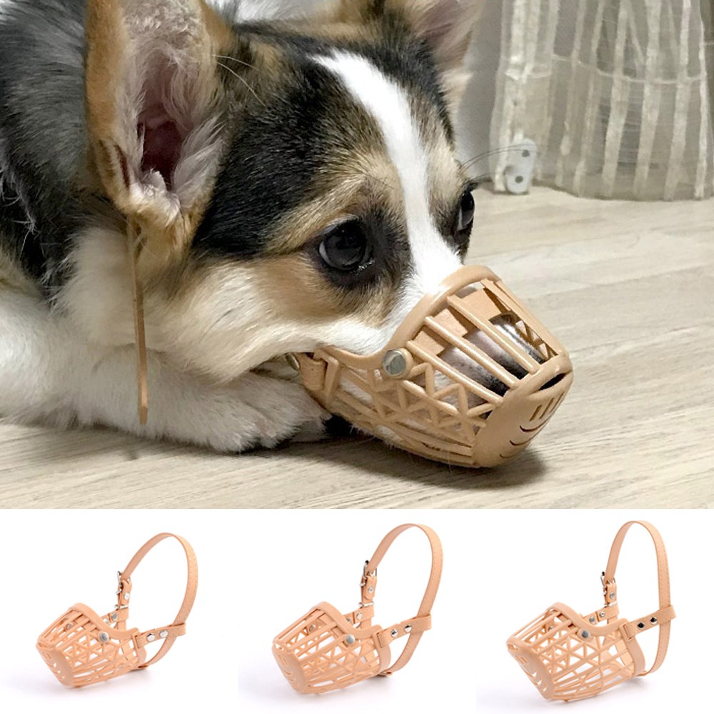 골든트리 플라스틱 애견용 입마개 외출용 입마개 입질방지 짖음방지 훈련 5,000원