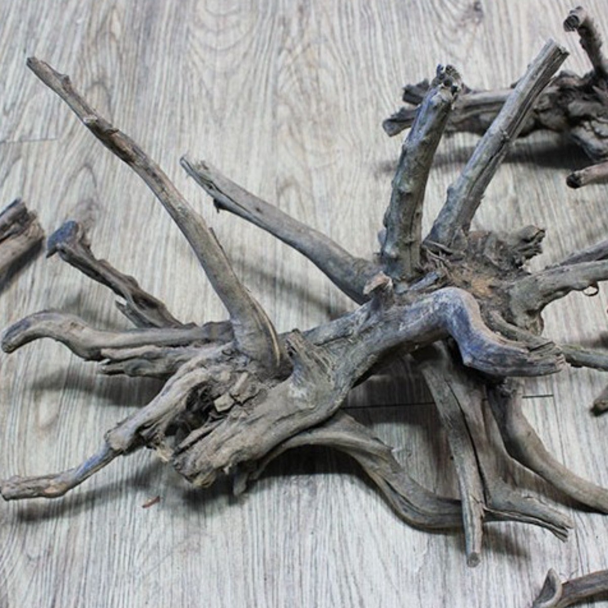 자연 가지 유목 [40~50cm미만], 1개, 현재가 22,000원