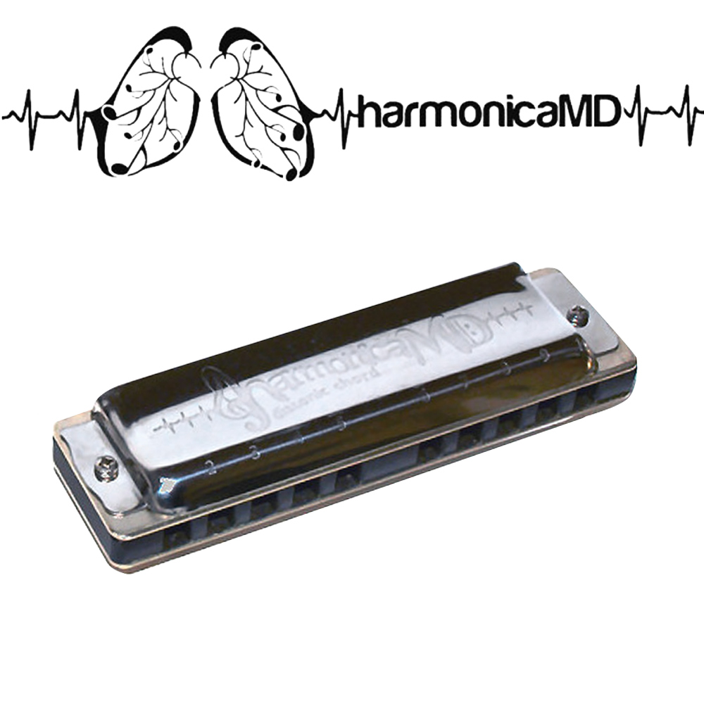 SEYDEL 쎄이델 다이아토닉 10홀/샤만 메디컬 하모니카 250,000원