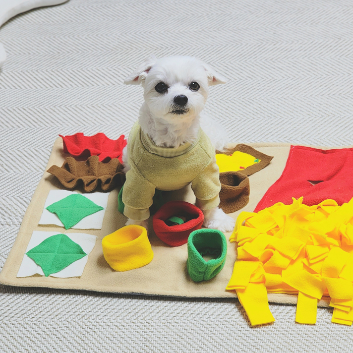 난펫 강아지 노즈워크 스너플 매트, 혼합색상, 1개 19,800원