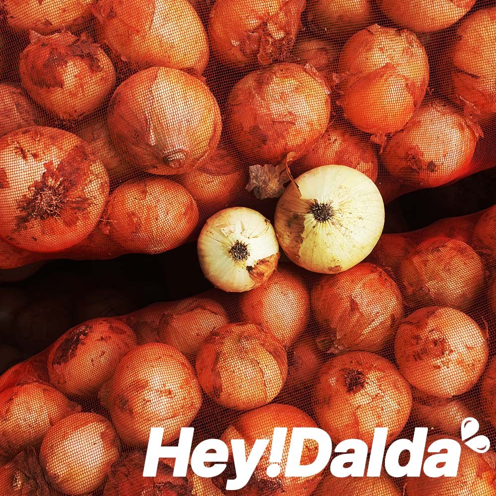 [25년 무안 햇 양파] 무안직송 햇 양파 조생양파 3kg 5kg 10kg 12,490원