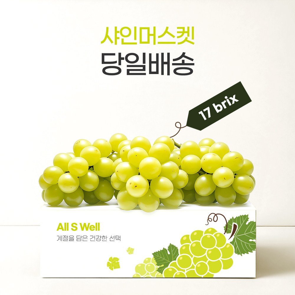[프리미엄] 17brix 1세대 명인 농부의 고당도 샤인머스켓 26,900원