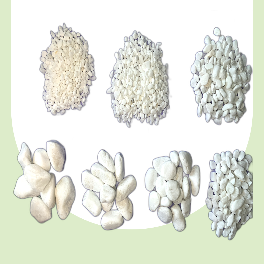 모오닝가드닝 백자갈 1kg 화분 조경 어항 테라리움 정원 장식돌 3,900원