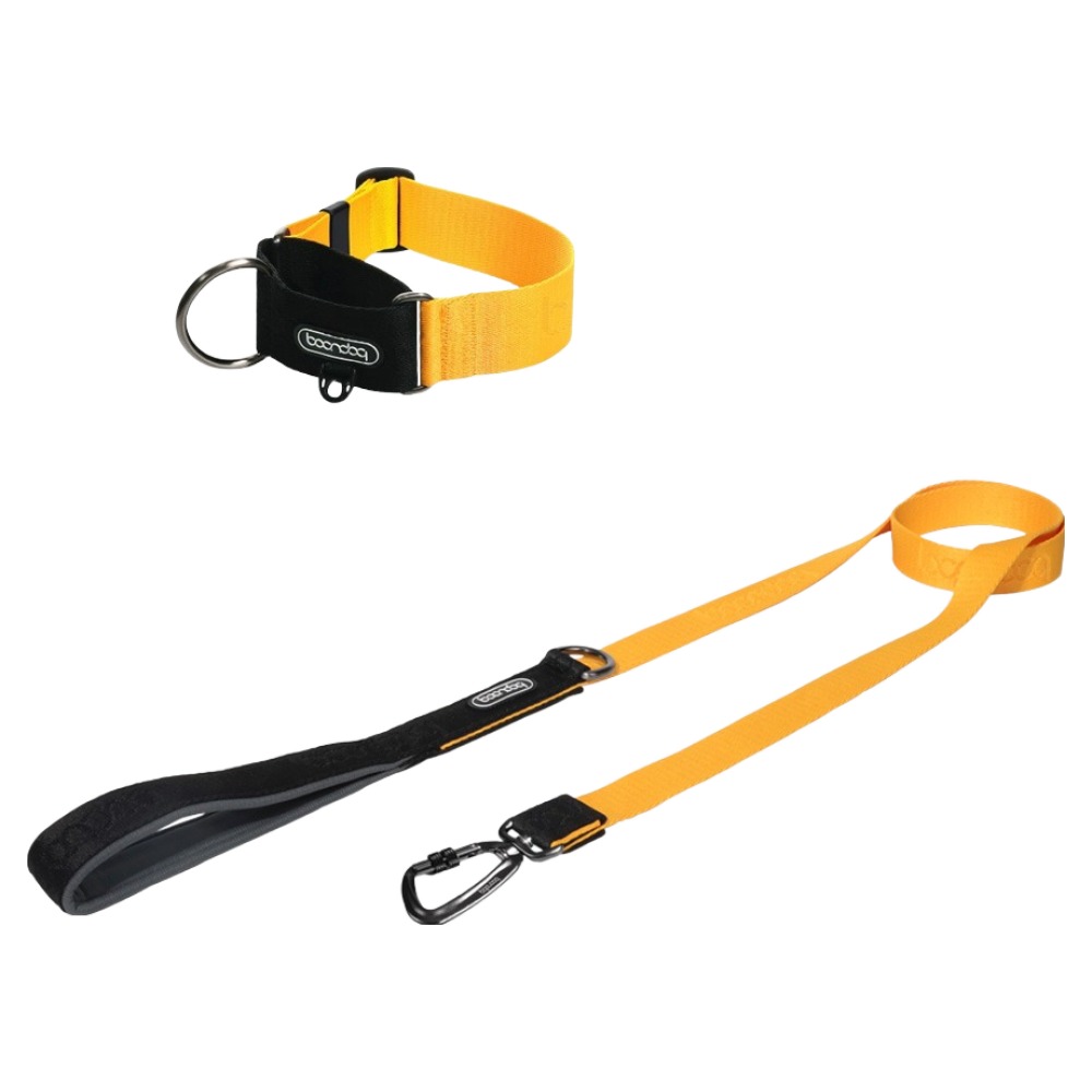 분독 강아지 오리지널 리쉬 리드줄 + 카라비너 와이드 목줄 세트 72,230원