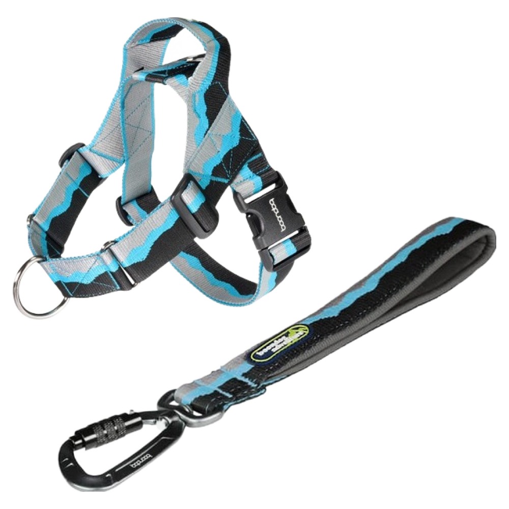 분독 강아지 어드벤처 트래픽 리쉬 + 0109 하네스 세트 81,700원