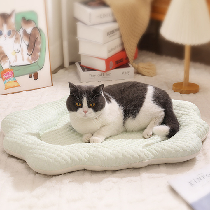 파스텔펫 반려동물 허니 윈디 엠보쿠션 14,110원