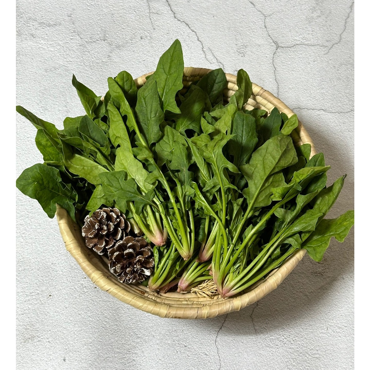 보물섬 남해 시금치 16,900원