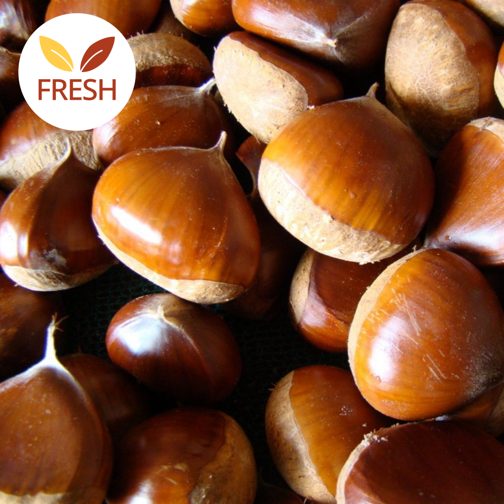 참새마켓 특사이즈 공주정안/부여 햇밤, 1개, 5kg 68,500원