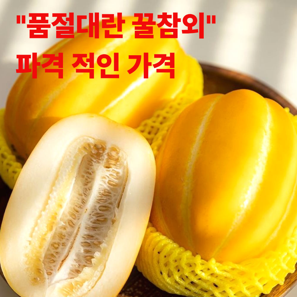 주문폭주 산지직송 고당도 명품 성주참외 19,900원