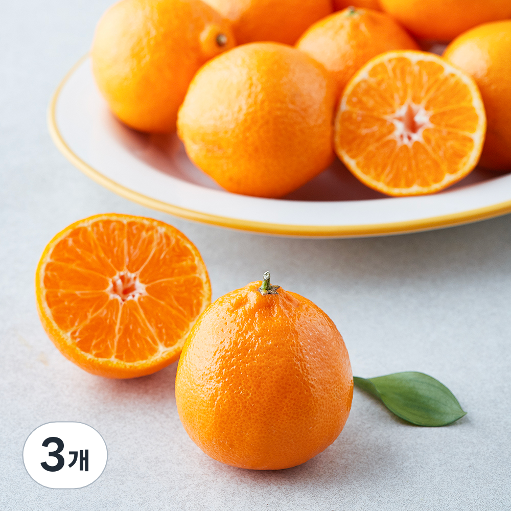 [로켓프레시] 미국산 헤일로스 만다린 35,800원