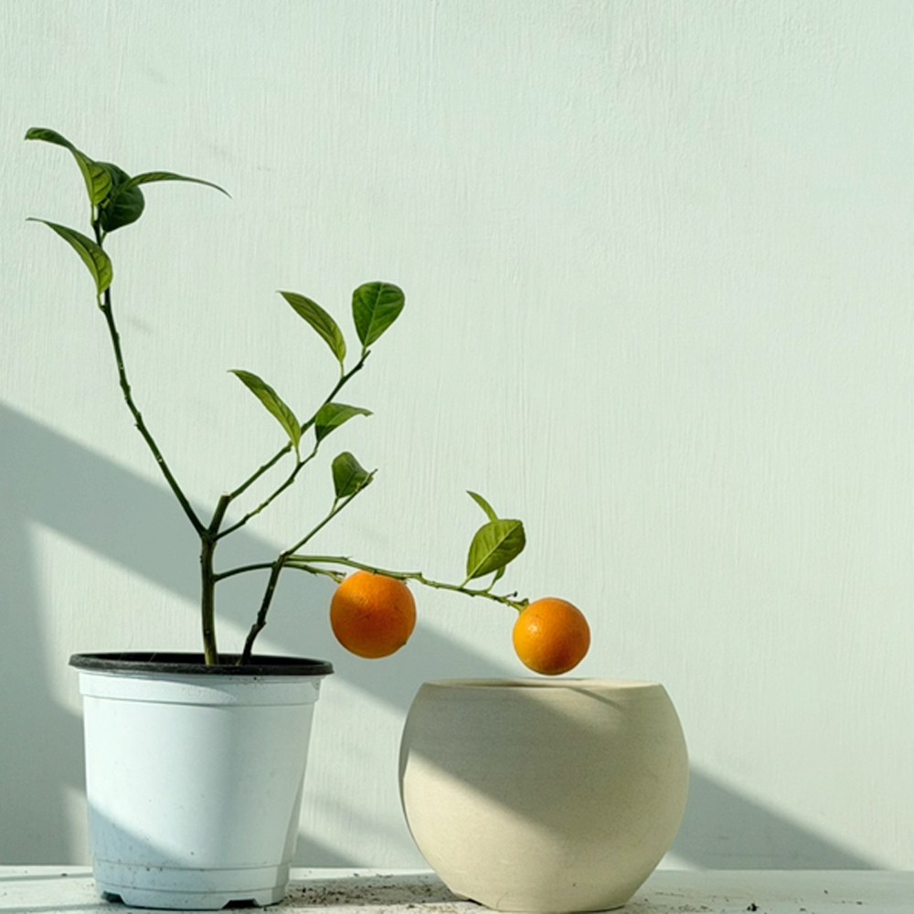 [스튜디오 희목] 소형 단지형 화분 미니 단지형 토분 빈티지 인테리어 화분, 1개, 토분 화분 #4 13,000원