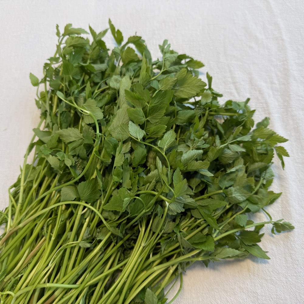 향 좋은 청도미나리 16,050원