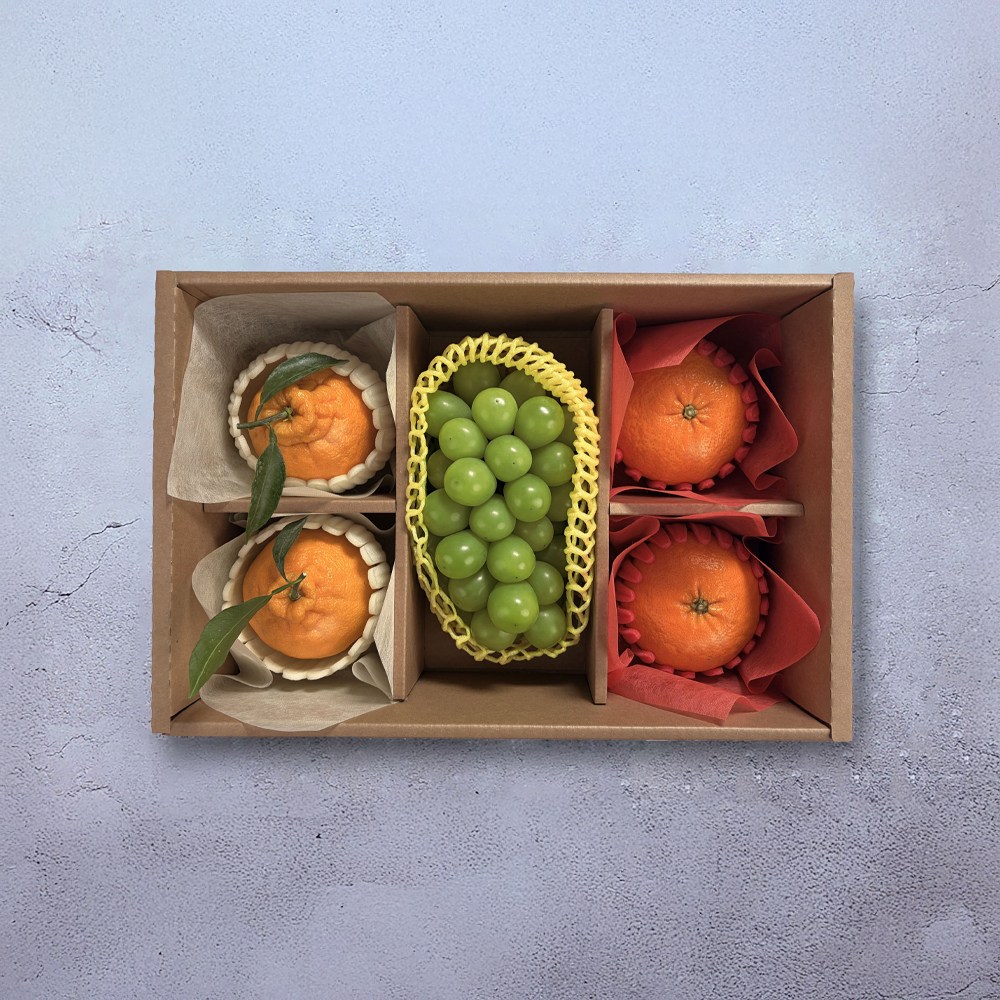 2026 설날 과일 선물세트 정담 혼합 한라봉/레드향/샤인머스켓 53,900원