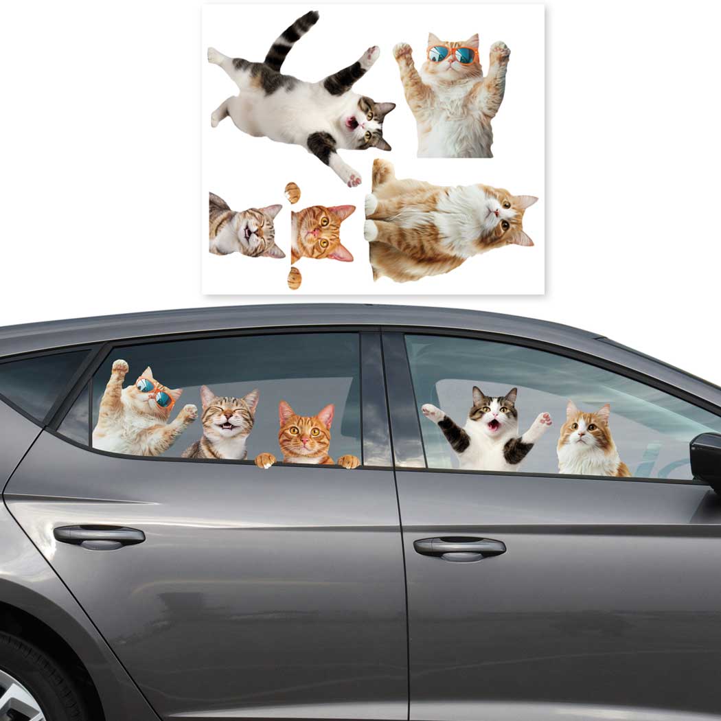 리얼 고양이 데칼 세트 5종 차량 꾸미기 귀여운 냥이즈 스티커, 1개, 현재가 12,500원
