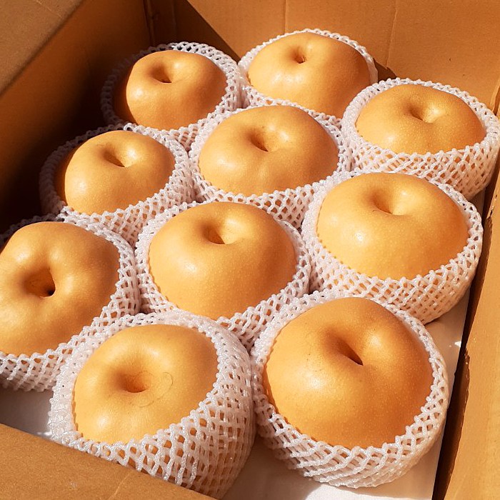 나주 신고배 햇배 가정용 32,900원