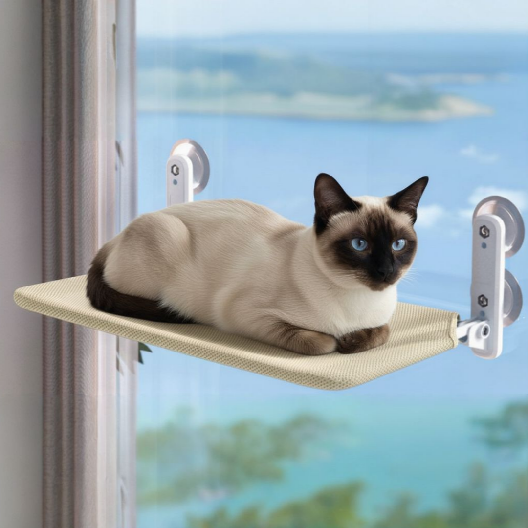 무타공 프리미엄 흡착식 고양이 창문 해먹 접이식 애묘용품 캣윈도우 침대 16,900원