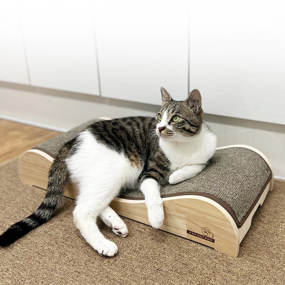 파파냥 논슬립 카펫트 쇼파형 원목 스크래처 와이드, 1개, 브라운 43,000원