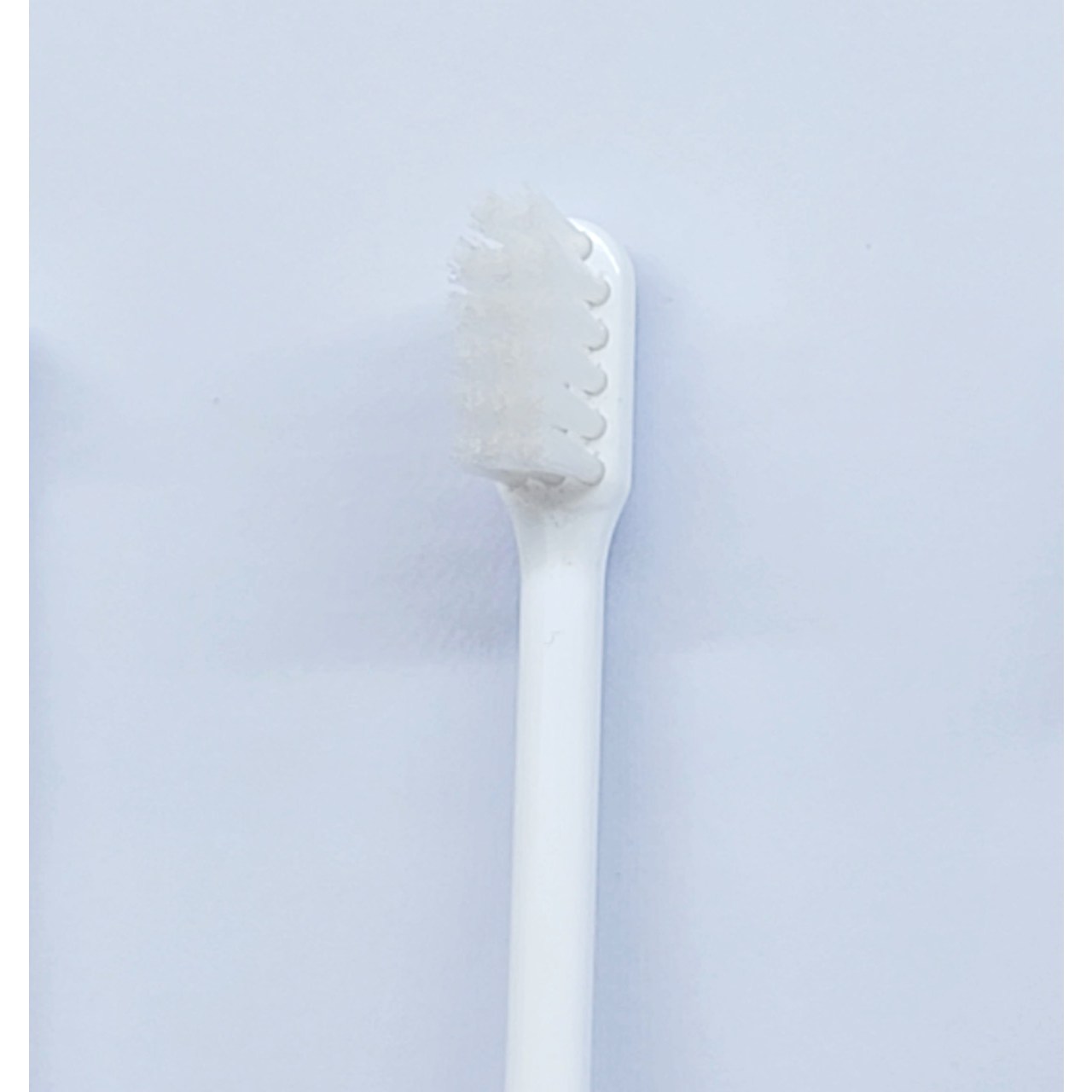 라이온 임플란트칫솔 (당일발송 US, 기본형), 1개, 10개입 45,000원