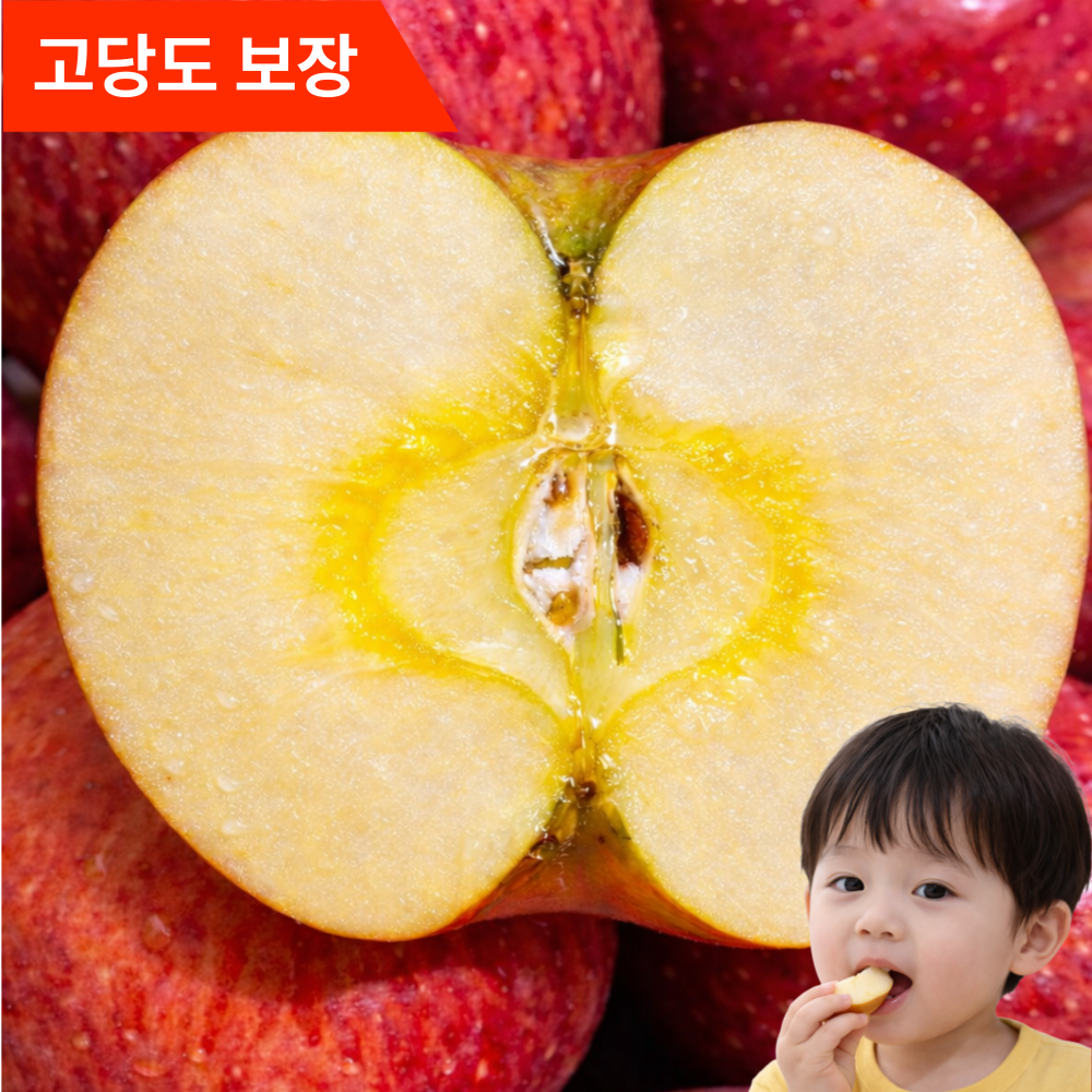 [당도선별] 산지직송 고당도 국내산 부사사과 69,900원