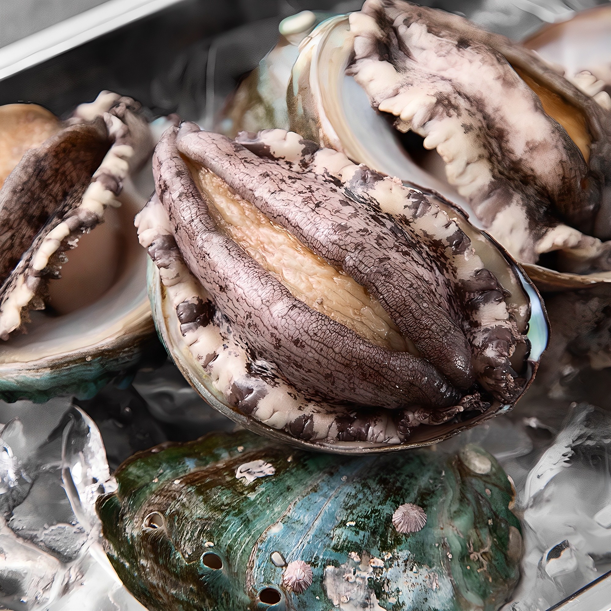 아라보감 산소 품은 국산 전복 1kg 26,550원