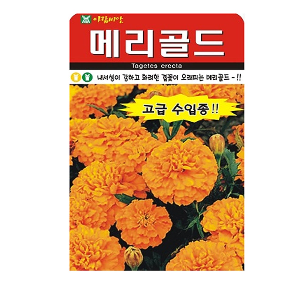 SN월드 씨앗 고급꽃씨 꽃씨앗 모음전 (봉선화,채송화,해바라기,코스모스), 고급 - 메리골드(10립) 2,490원