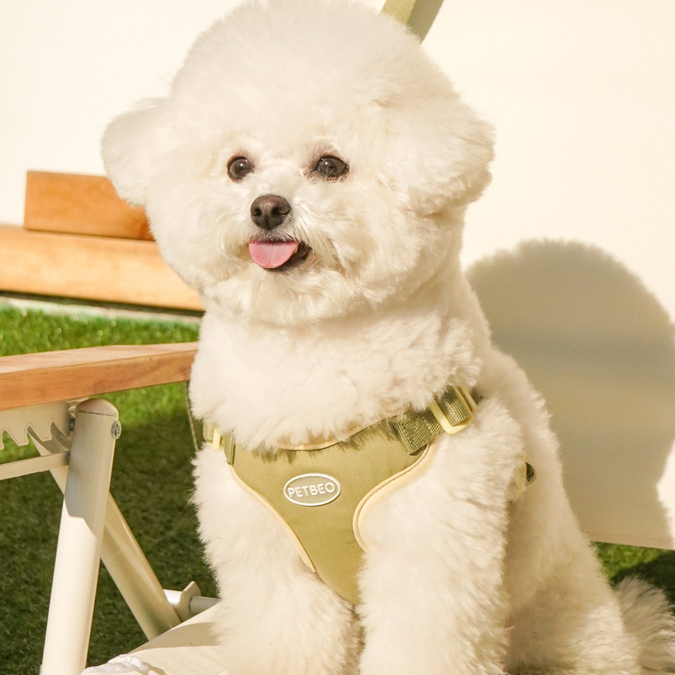 펫베오 프리밴드 X형 하네스 소형견 중형견, 카키, 1개 29,900원