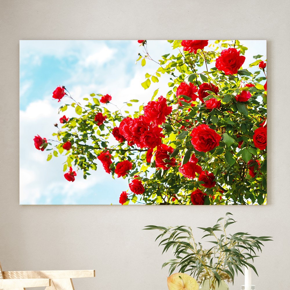 예쁜 힐링 풍수 인테리어 장미 데이지 튤립 꽃그림 모음 북유럽감성 식물액자, 06.정원의 장미 15,900원