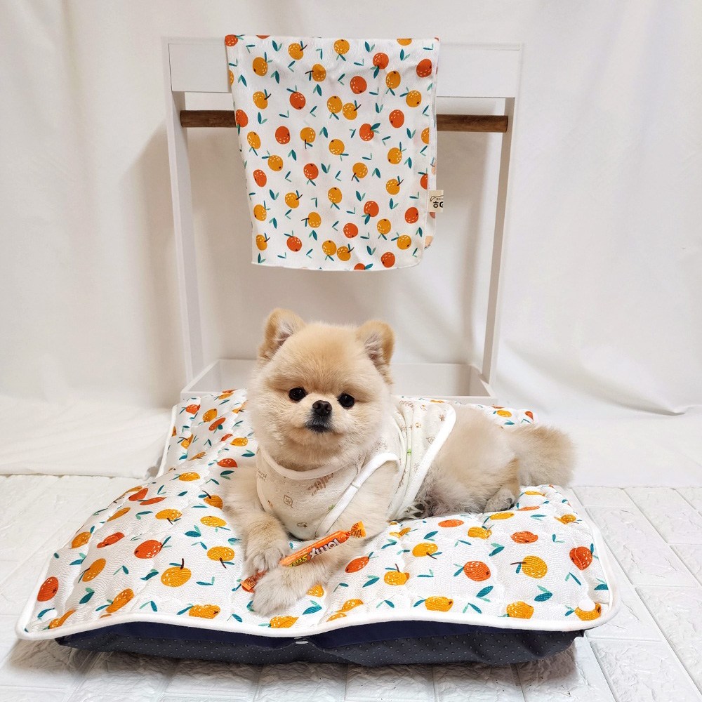 해피앤퍼피 강아지쿨매트 애견쿨매트 고양이쿨매트 27,900원