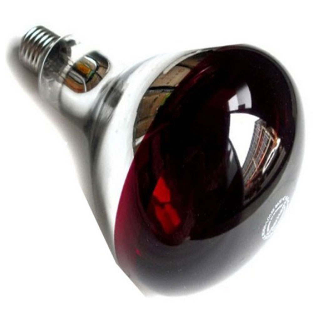 보온갓등 양계 양돈 축사 보온등 열전등 가축보온, 눈부심방지고급전구, 1개 9,570원