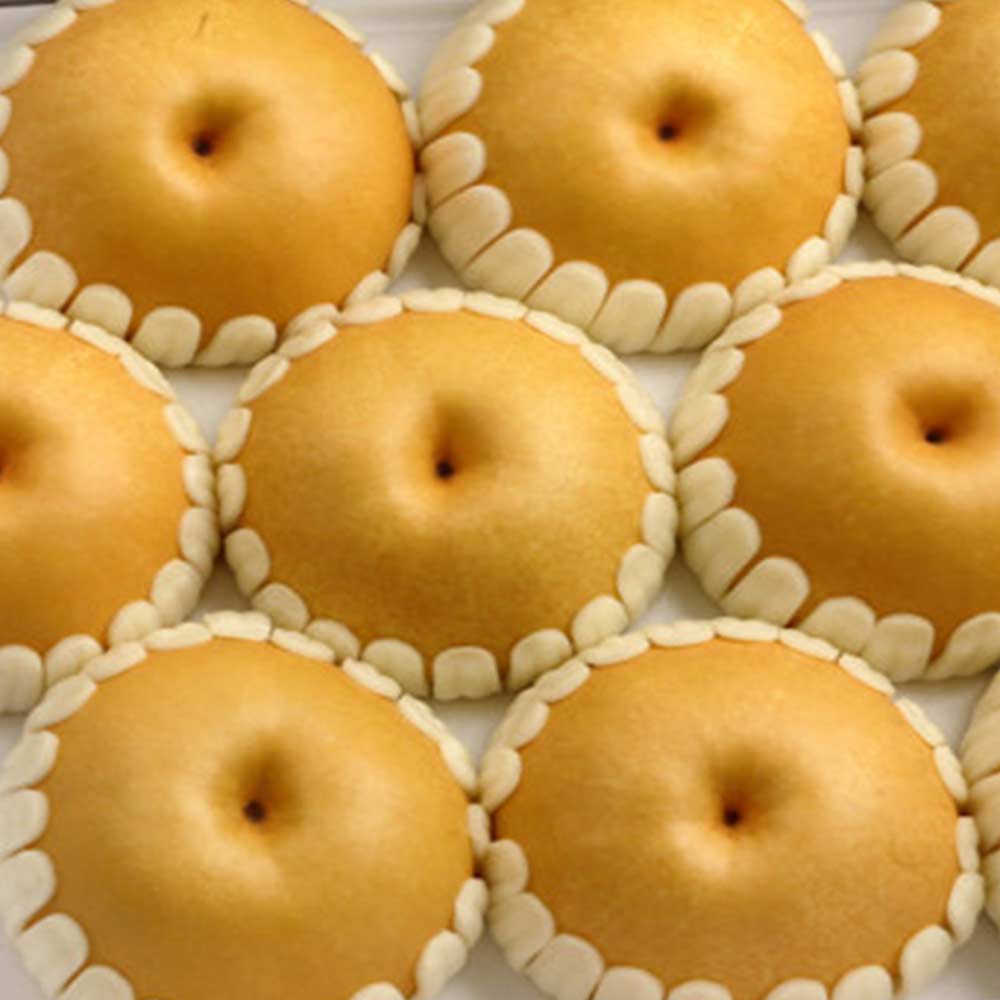 농부곳간 나주 햇배 나주배 신고배 과일 배 선물세트, 1박스, 나주배 5kg 특품 선물용 6-8과 36,900원