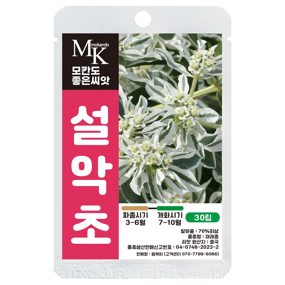 모칸도 좋은씨앗 설악초 씨앗 재래종 30립 꽃씨 꽃씨앗, 1개 3,700원