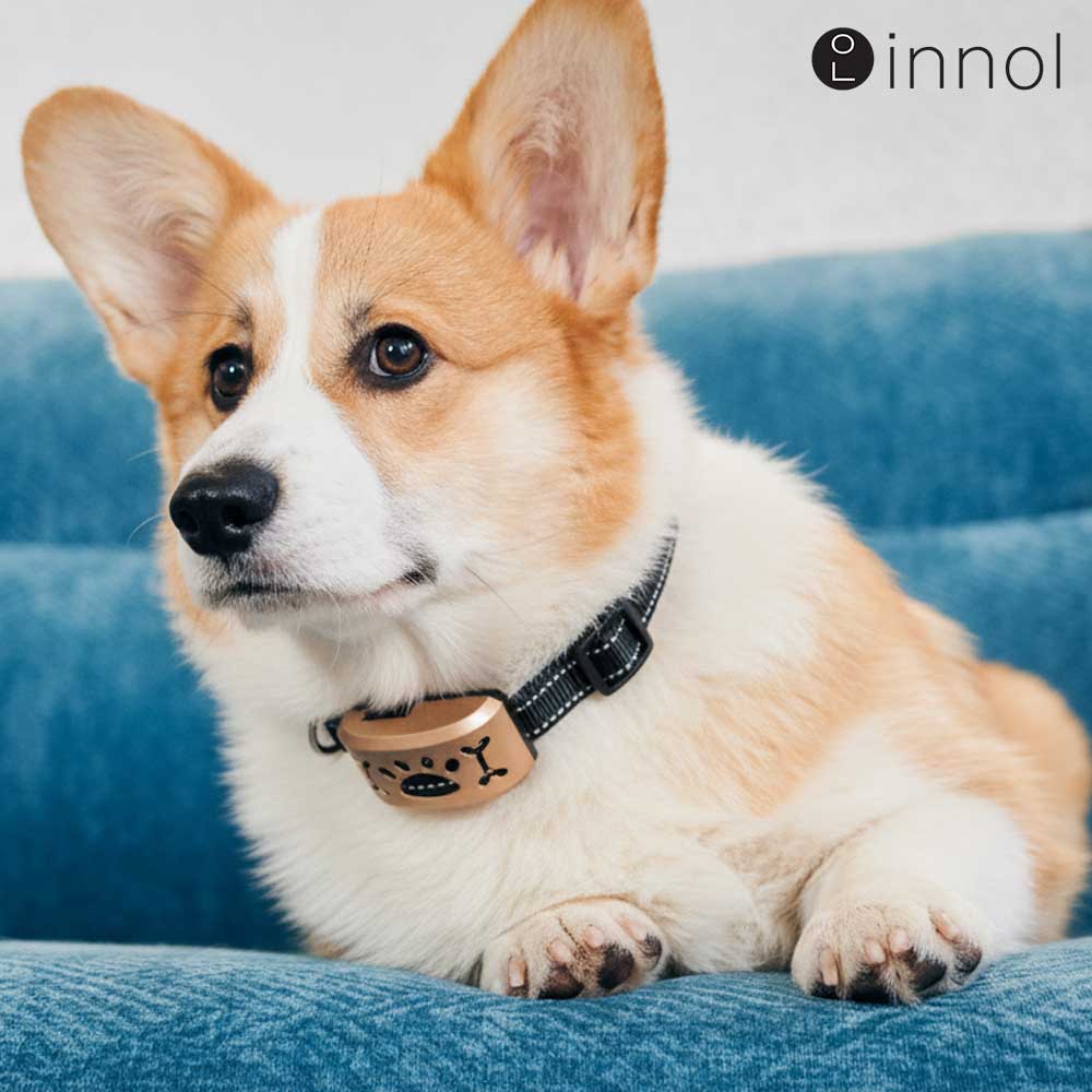 이놀 강아지 초음파형 짖음방지기 BS-LED11 26,170원