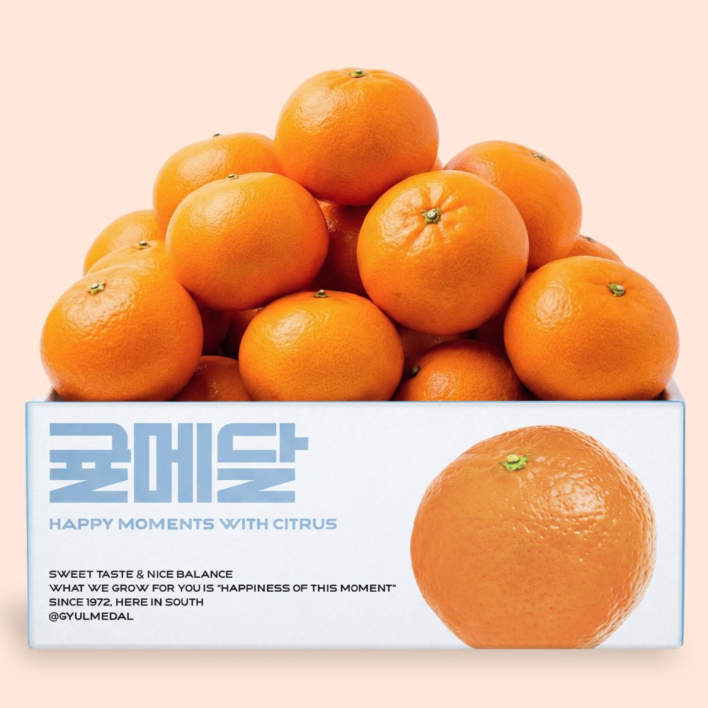 [15브릭스 산지직송] 제주 천혜향 당도선별 귤메달 천헤양 천헤향 천해양 천해향, 1박스, 소과 5kg 43,900원