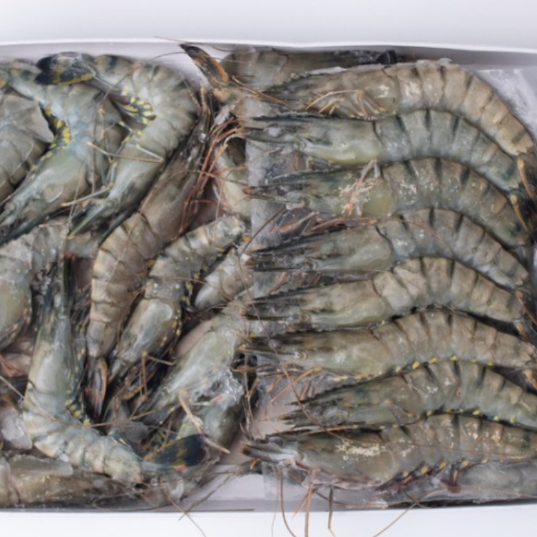 블랙타이거 새우 30미 500g 대하 중하 소금구이 킹타이거새우 킹블랙타이거, 1개 8,200원