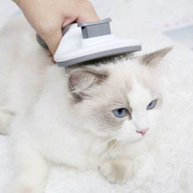 진볼리 반려동물 원터치 브러쉬 + 털제거 장갑 세트 강아지 고양이 겸용 펫 미용 브러시, 그레이, 1세트 9,300원