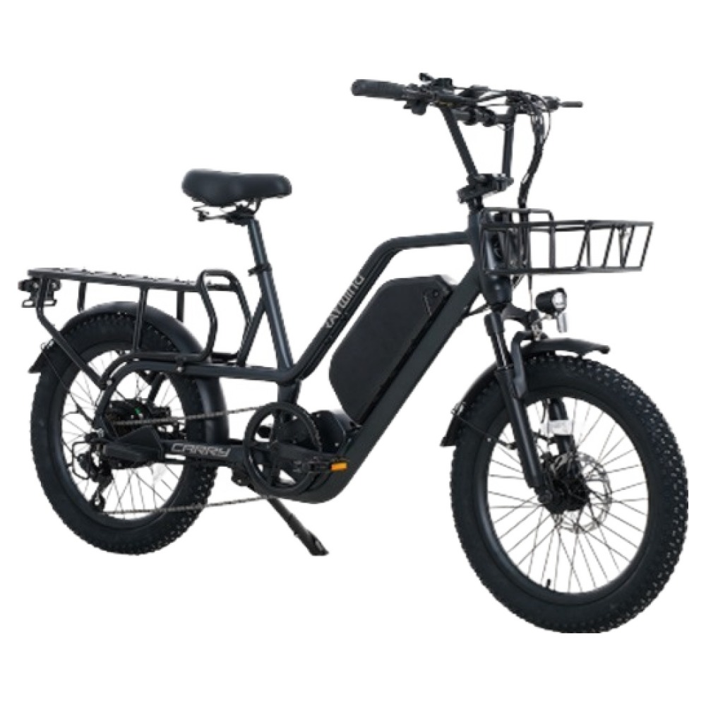 레이윙 캐리 전기자전거 삼성셀 배터리 25Ah 고객직접설치, 팬텀블랙, 알루미늄 1,590,000원