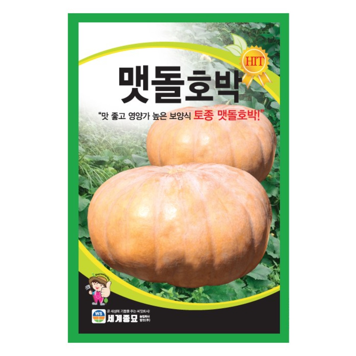 맷돌호박 1000립 / 호박씨 호박씨앗, 1개 70,000원