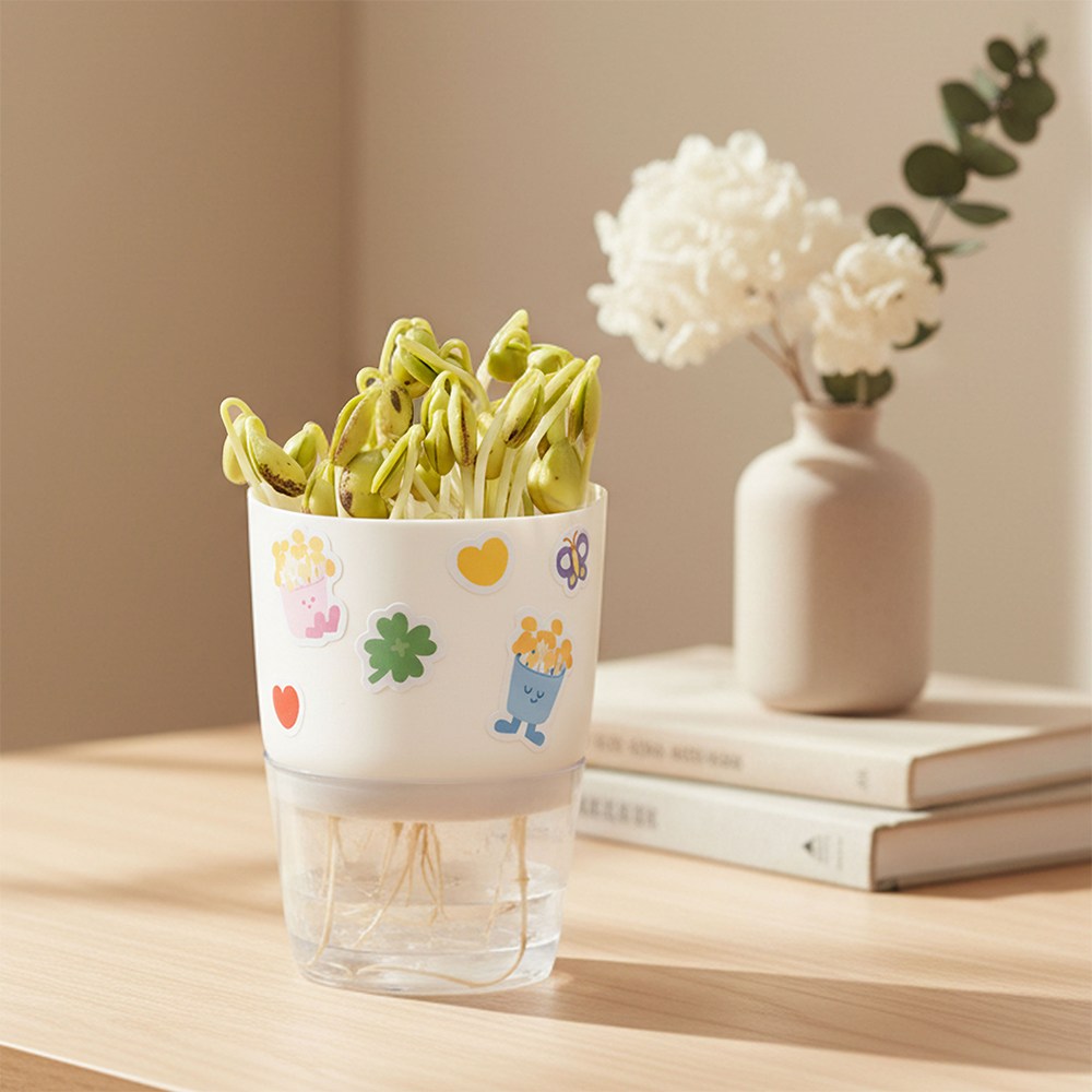 민화샵 콩나물 키우기 과학 식물 교구 키트, 단품 4,500원