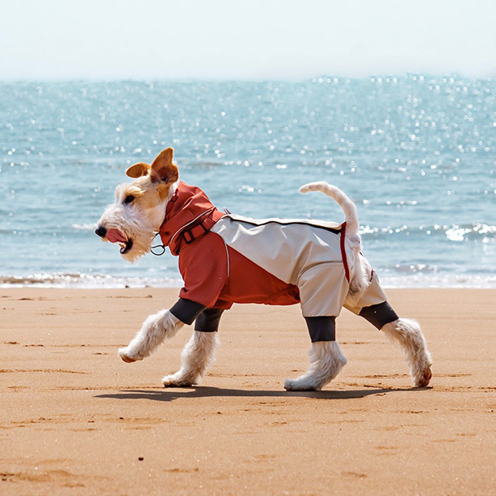 담다펫 강아지 전신우비 비옷 레인코트 캠핑옷 아웃도어, 1개, 레드 39,900원
